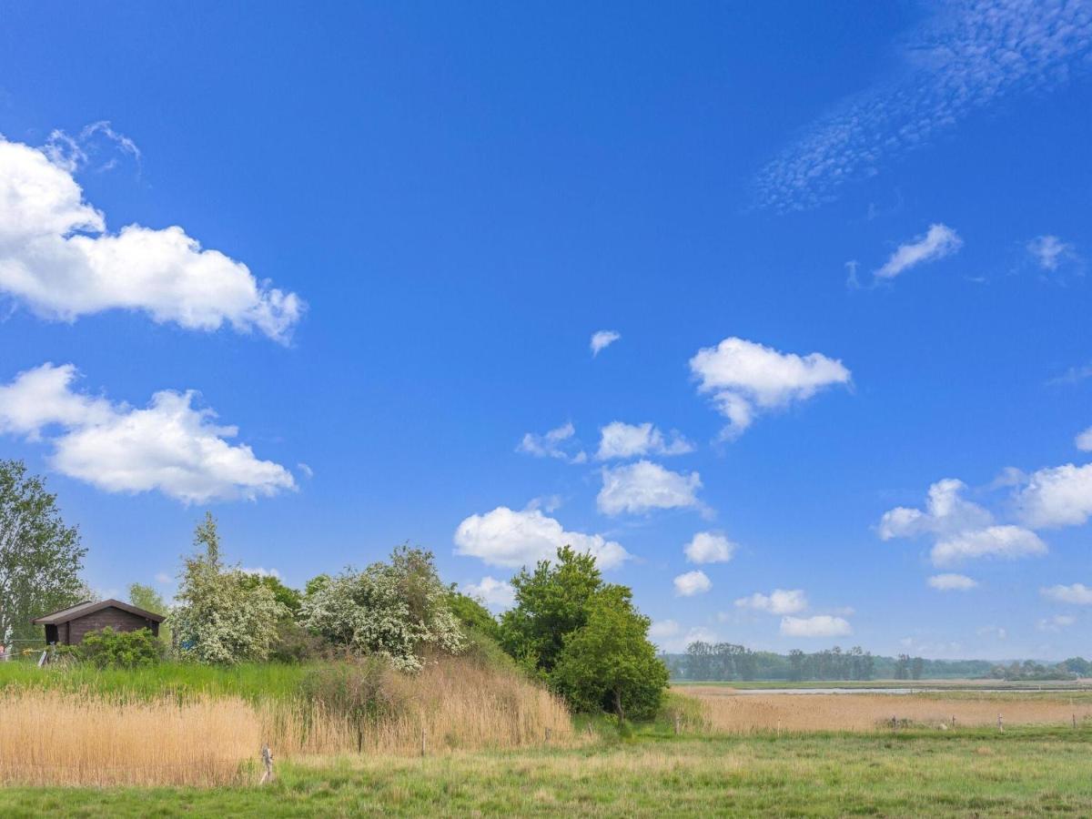 Beautiful In Poel Near The Fahrdorf (Mecklenburg-Vorpommern)